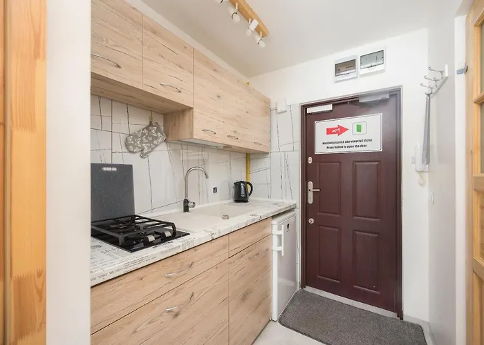 Ochota Wooden Appartamento *